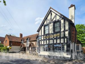 Picture of The White Lion