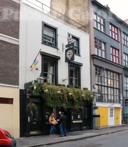 Picture of Star & Garter