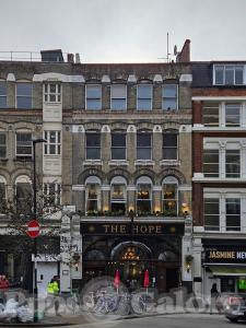 Picture of The Hope