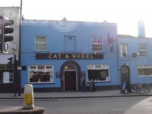 Picture of Cat & Wheel