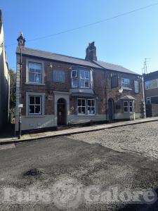 Picture of Ye Old Elm Tree