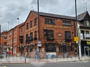 Picture of The Old Monkey