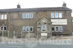 Picture of Dog and Gun Inn