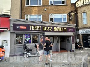 Picture of Three Brass Monkeys