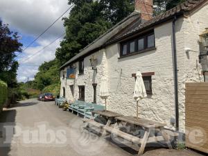 Picture of The Rising Sun Inn