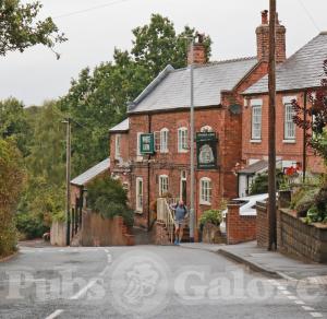 Picture of The White Lion