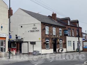 Picture of The Old Tree Inn