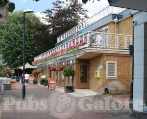 Picture of The Gazebo
