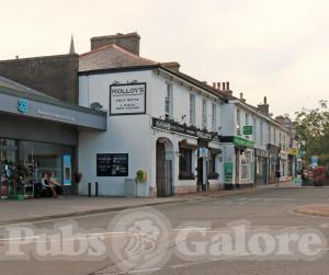 Picture of Molloy's