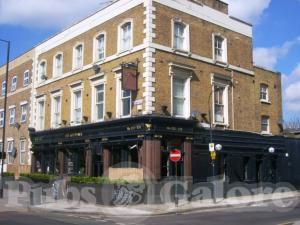 Picture of The Goldhawk