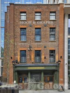 Picture of Hoop & Grapes