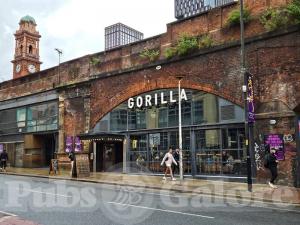 Picture of Gorilla