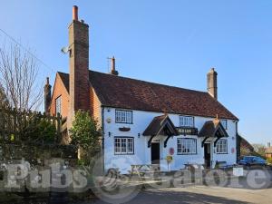 Picture of Red Lion