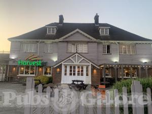 Picture of The Jolly Badger