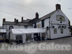 Picture of Green Dragon