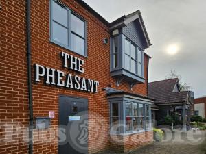 Picture of The Pheasant