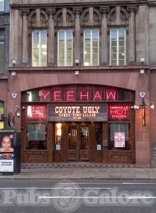 Picture of Coyote Ugly