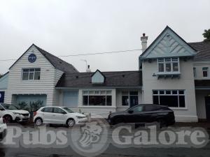 Picture of Ego at The Hollybush