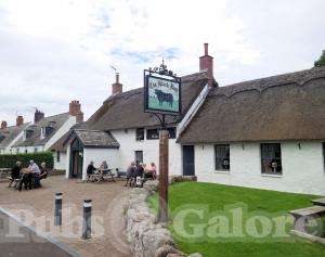 Picture of Black Bull