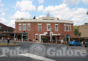 Picture of The Berrylands