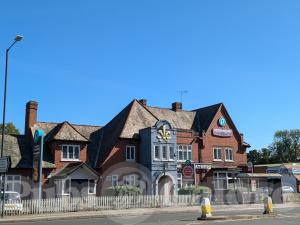 Picture of Plume of Feathers