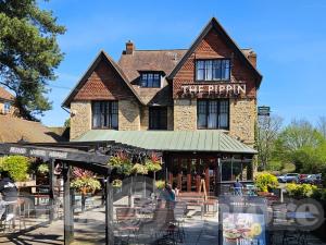 Picture of The Pippin