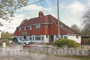 Picture of Royal Oak