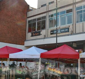 Picture of Bar Iguana