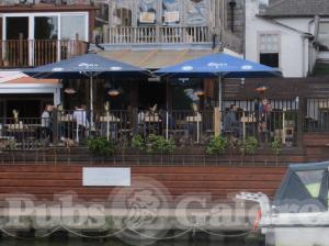 Picture of Stein's