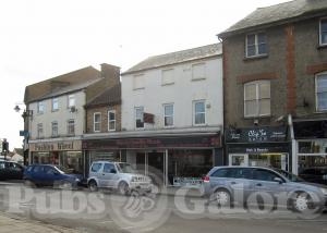 Picture of Golden Lion