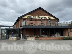 Picture of Brewery Tap
