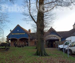 Picture of Black Bear (JD Wetherspoon)