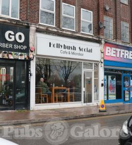 Picture of Hollybush Social
