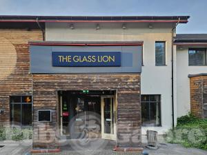 Picture of The Glass Lion