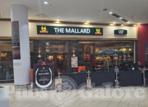 Picture of The Mallard