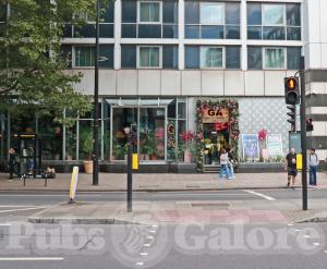 Picture of GA KingsX