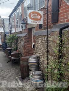 Picture of Convivial Rabbit