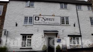Picture of The Swan