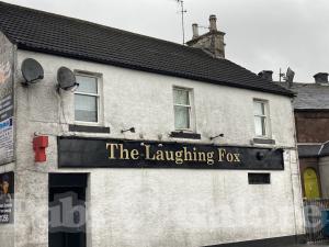 Picture of The Laughing Fox