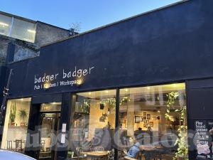 Picture of Badger Badger