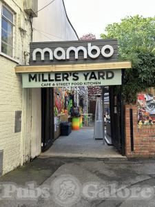 Picture of Mambo