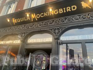 Picture of Tequila Mockingbird