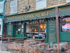 Picture of The Dark Horse