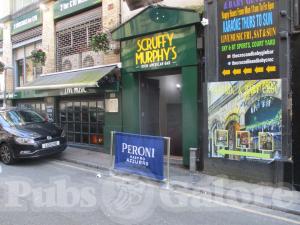 Picture of Scruffy Murphys