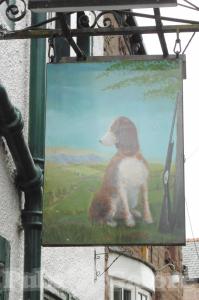 Picture of The Dog and Gun Inn