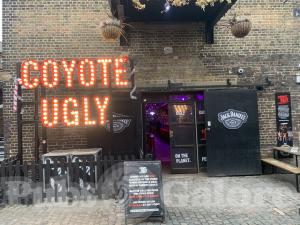 Picture of Coyote Ugly