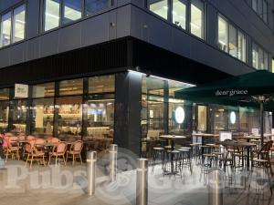 Picture of BloomsYard