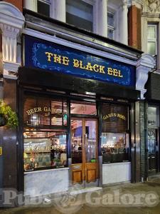 Picture of The Black Eel