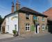 The Orange Tree picture