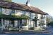 The Orange Tree picture